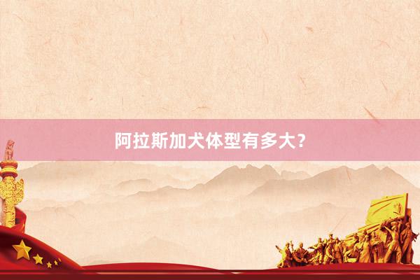 阿拉斯加犬体型有多大？