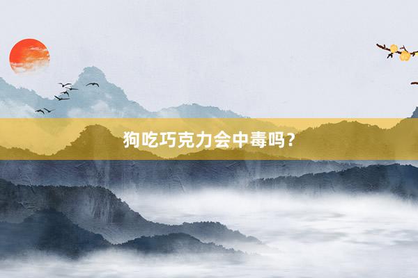 狗吃巧克力会中毒吗？