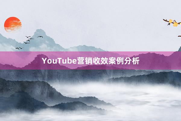 YouTube营销收效案例分析
