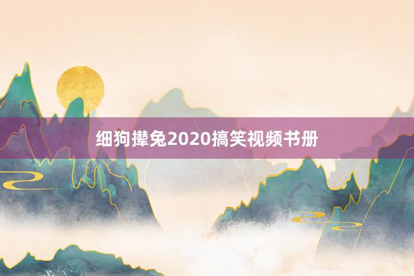 细狗撵兔2020搞笑视频书册